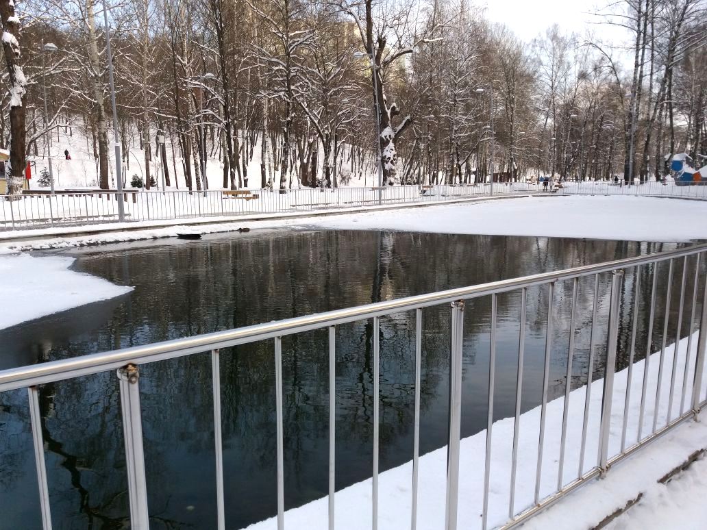 В Воронежском центральном парке завершены работы по установке ограждения искусственного водоема