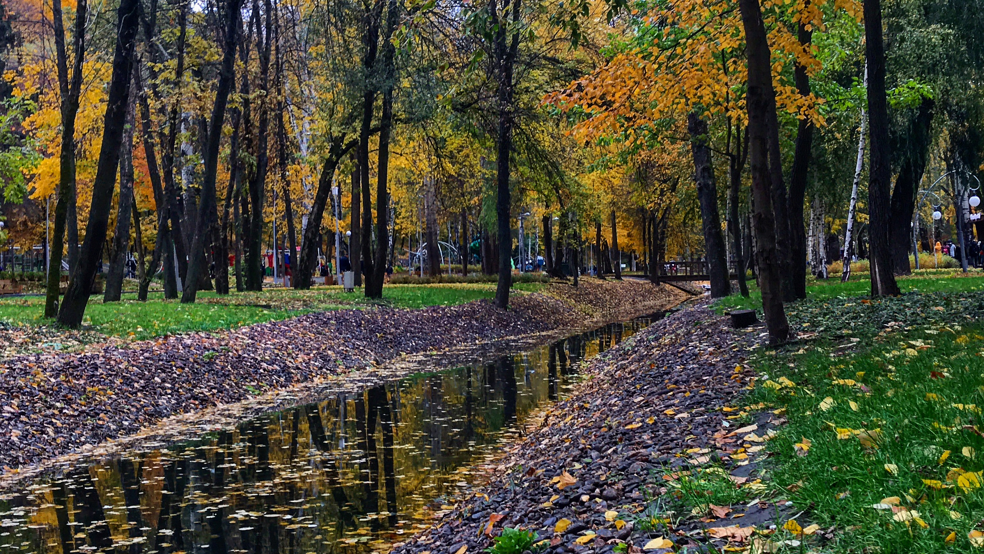 Осенний парк Динамо Воронеж