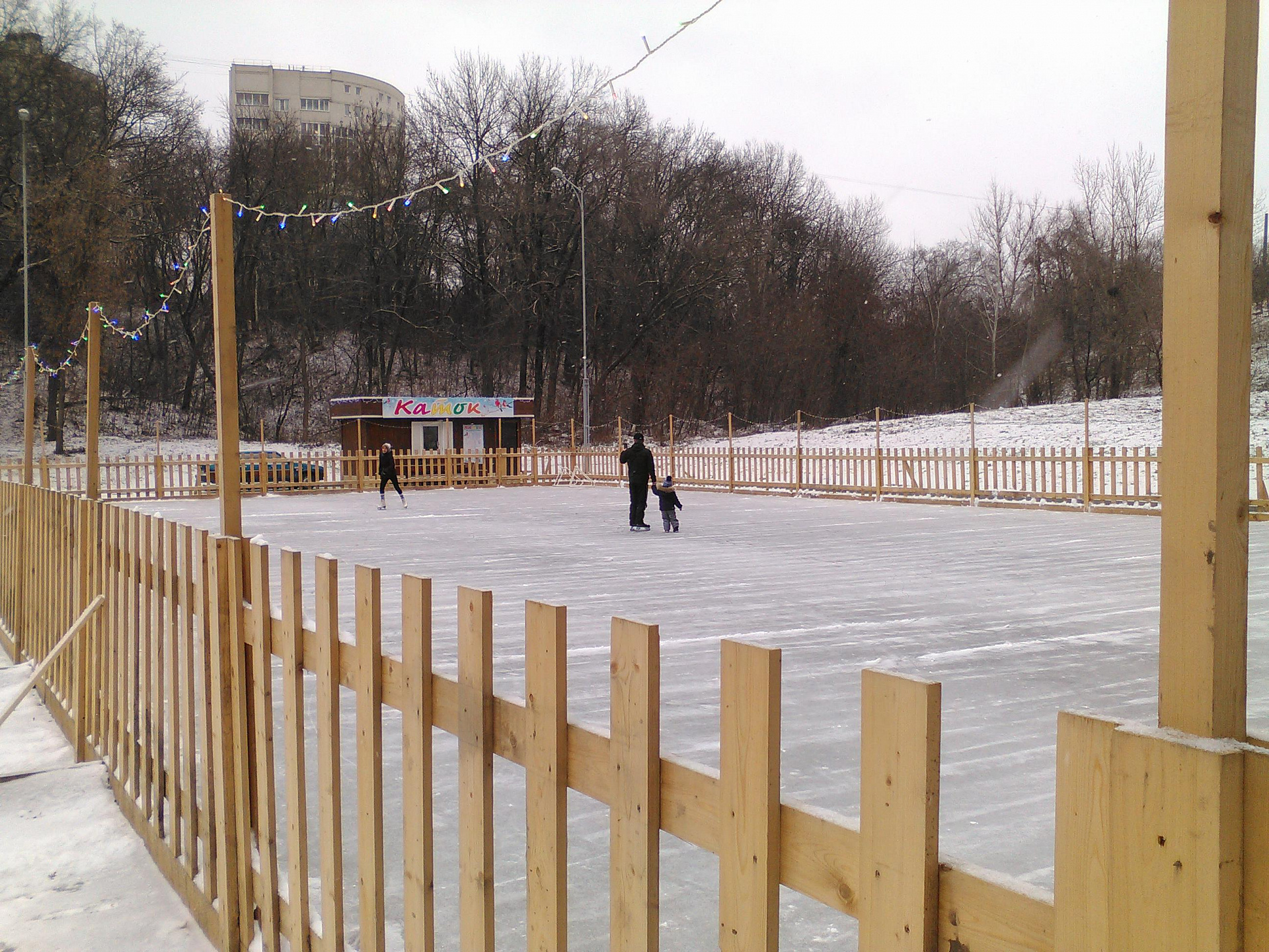 Воронежцам предлагают бесплатно научиться кататься на коньках  